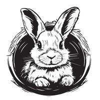 face rabbit portrait, vintage graphic illustration, design for posters and postcard vector