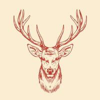A deer head with horns on it vector
