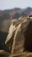 Vertical Remote mountain wilderness with rocky cliffs and sweeping vistas, offering a perfect escape into nature. The fresh air and scenic background create an ideal environment for adventure. video