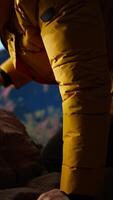 Vertical Proud explorer celebrates on top of a high altitude mountain peak, surrounded by rugged hills and dramatic clouds. Triumphant pose captures the thrill of climbing to success. Camera A. video