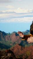 Vertical Battling intense wind and searching for better telephone signal, young hiker acting reckless distracted by smartphone on mountain top. Tumbling on the steep cliffs of a scenic peak. Camera B. video
