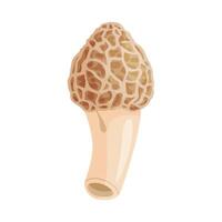 Morel mushroom. Edible forest mushroom icon. Hand drawn trendy flat style isolated icon on a transparent background Morchella dunensis fungus illustration vector