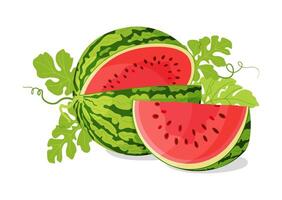 Red watermelon slices and green leaves. Botanical fruit berry composition. Hand drawn trendy flat style isolated icon on a transparent background for card design, print, banner, packaging, label vector