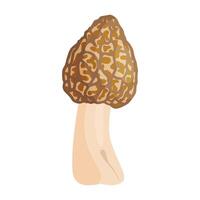 Morel mushroom. Edible forest mushroom icon trendy flat style isolated icon. Morchella fluvialis fungus group engraved. illustration vector