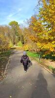 Child on autumn path. A young child strolls through a picturesque path surrounded by vibrant autumn foliage under a clear blue sky. video