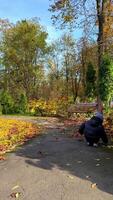 Child in a bright autumn park. A small child in a warm jacket plays in a park surrounded by vibrant autumn foliage and a clear sky. video