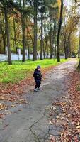 Toddler walks on leaf path. A young child wanders a quiet tree-lined path on a fall day, colorful leaves scattered around. video