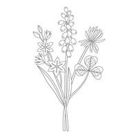 Wildflower bouquet with grape hyacinth and clover. Meadow flowers and wild plants. Line art, minimal style, contour. Botanical hand drawn elements for design projects vector