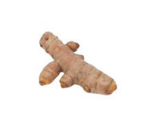 Single Turmeric Spice on Transparent Background png