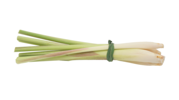 A Bunch of Stalks of Lemongrass Spice on Transparent Background png
