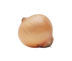 Single Onion on Transparent Background png
