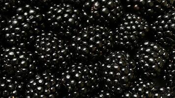 Close-up of fresh blackberries with a glossy texture. photo