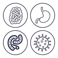 Digestion and Intestine Outline Icons Set vector