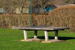 Concrete picnic table in sunny park setting with lush grass photo