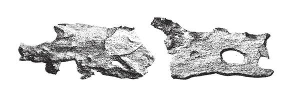 Abstract textured shapes in monochrome black ink style vector