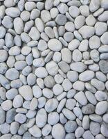 Smooth and Uniform Light Gray Pebble Surface, Overhead View photo