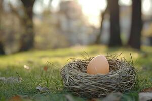Chicken egg in a nest in a park on the grass on a spring day. Generated by artificial intelligence photo