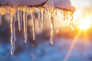 Tree branch with melting icicles and warm sunny background. Close-up. Thaw. Generated by artificial intelligence photo