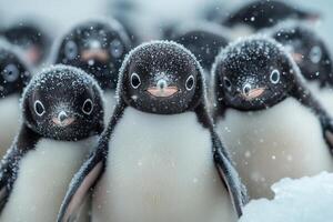 The annual migration of Adelie penguins. A crowd of penguins looks at the camera during a snowfall. Generated by artificial intelligence photo