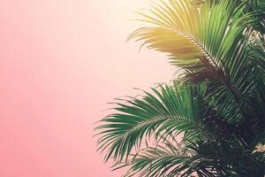 Composition of natural tropical palm branches on muted pink background. Horizontal tropical poster, banner template with space for text. Generated by artificial intelligence photo