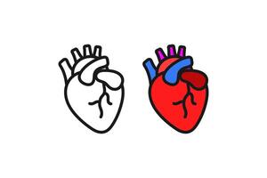 heart internal organs icon line and flat vector
