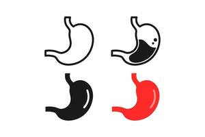 stomach internal organs icon line and flat set vector