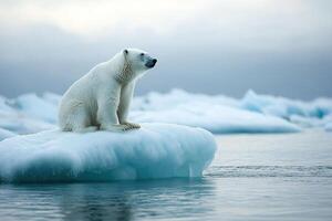 A polar bear sits on an ice floe in the Arctic sea among melting iceberg photo