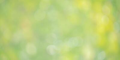 Defocus light green natural background with greenery. Blurred leaves, bokeh. photo