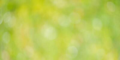 Abstract green natural background of blurred leaves. Defocus lights on a background of greenery. photo