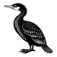 cormorant bird animal silhouette. vector