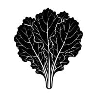 black kale on white background. vector