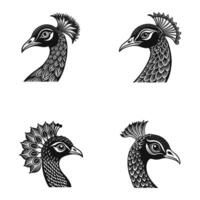 set of four different peacock head designs vector