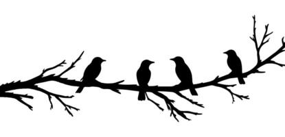 Birds on a branch silhouette illustration with a white background. vector