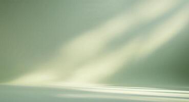 An empty room with a white wall and a light photo