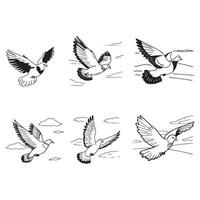 Cute flying pigeon design vector
