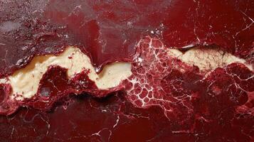 Abstract art featuring red and white textures photo