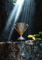 A gold trophy sits on a rock in the forest, illuminated by sunlight photo