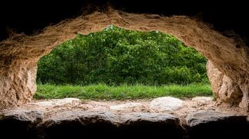 View from inside a cave looking out at greenery photo