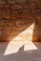 Sunlight casting a bird shadow on a stone wall and floor photo
