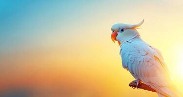 A vibrant macaw perches on a branch, basking in the warm glow of a tropical sunset. The colorful bird overlooks a serene landscape, creating an inviting atmosphere for a getaway. photo