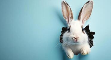 A playful bunny with white fur and distinctive markings emerges from a hole in a vibrant blue background, symbolizing the joy and excitement of Easter celebrations. photo
