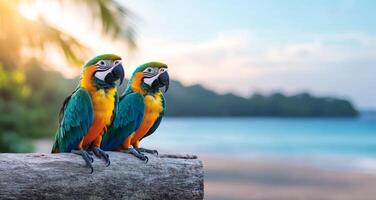 Colorful macaws sit on a weathered log overlooking the tranquil ocean waters. The tropical setting features palm trees and a peaceful atmosphere, ideal for vacation relaxation in warm sunlight. photo