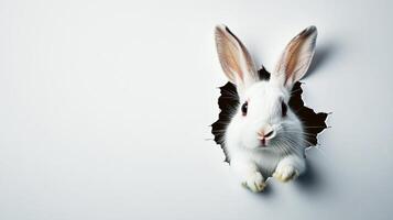 A white bunny with long ears is curiously peeking through a torn hole in a white wall. Its attentive expression brings a cheerful vibe, perfect for springtime and Easter festivities. photo