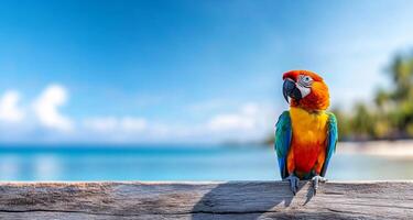 A colorful macaw rests on a weathered wooden rail with a vibrant tropical ocean in the background. The serene blue waters and cloudless sky create a perfect vacation atmosphere. photo