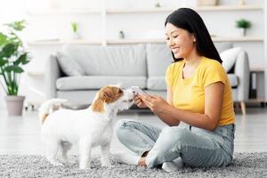 Happy young asian woman in casual sitting on floor in living room with mobile phone, taking photo of her playful cute dog jack russel terrier puppy while playing together at home, copy space