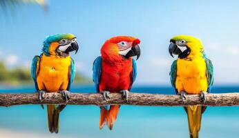 Three vibrant macaws display their striking feathers while resting on a branch above the clear blue ocean. The tropical setting offers a serene backdrop perfect for a relaxing vacation. photo