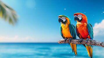 Two vibrant macaws sit on a branch in a tropical setting, facing an expansive blue ocean under a sunny sky. The scene captures the beauty of nature and relaxation during a vacation. photo