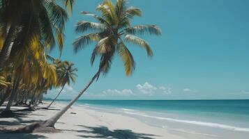 Serene Tropical Beach with Palm Trees and Azure Sea for Relaxing Vacation Vibes photo