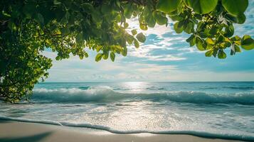 Serene tropical beach scene with lush foliage framing ocean views and gentle waves photo