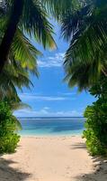 Idyllic Tropical Beach Paradise with Palm Trees and Turquoise Ocean View Serenity photo